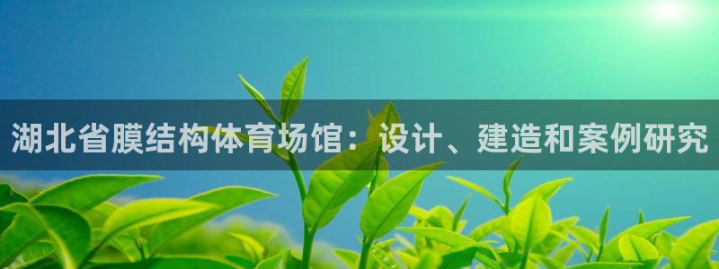 意昂集团官网：湖北省膜结构体育场馆：设计、建造和案例