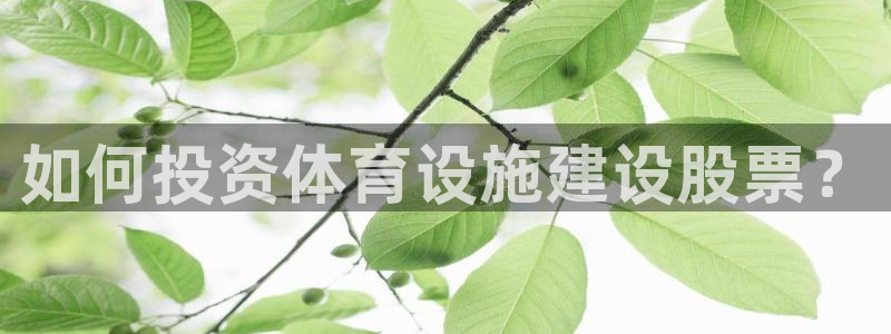 意昂3官网：如何投资体育设施建设股票？