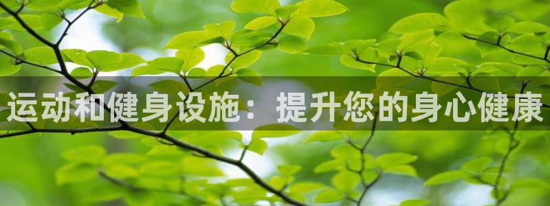 意昂3娱乐代理怎么样